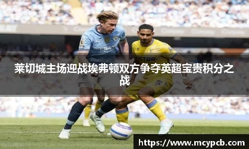 莱切城主场迎战埃弗顿双方争夺英超宝贵积分之战